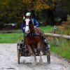 (080) Indoor du 11 novembre 2017