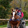 (080) Indoor du 11 novembre 2017
