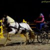(080) Indoor du 11 novembre 2017