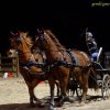 (080) Indoor du 11 novembre 2017