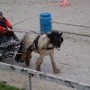 (080) Indoor du 11 novembre 2017