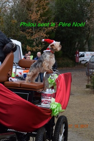 (082) Père Noël à Carrefour le 17 décembre 2017