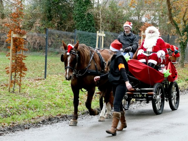 (082) Père Noël à Carrefour le 17 décembre 2017