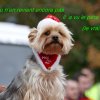 (082) Père Noël à Carrefour le 17 décembre 2017