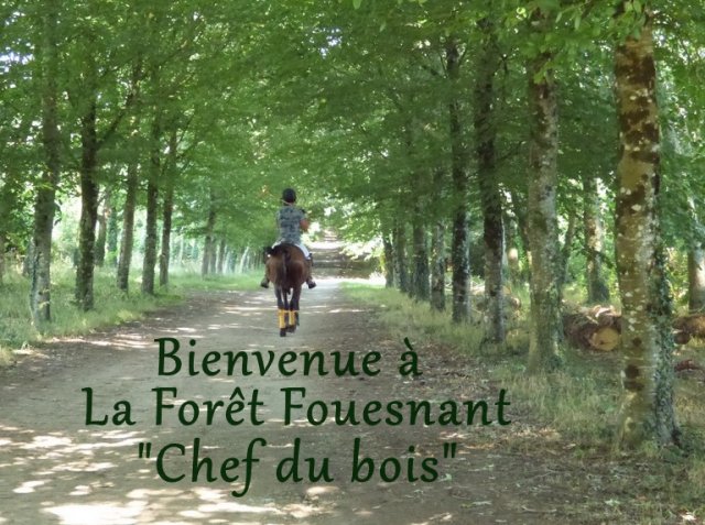 (091) Concours Attelage La F.Fouesnant 7-8 mai 2018