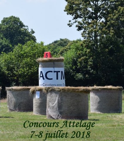 (091) Concours Attelage La F.Fouesnant 7-8 mai 2018