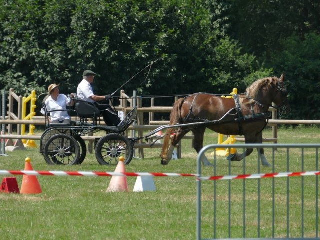 (091) Concours Attelage La F.Fouesnant 7-8 mai 2018