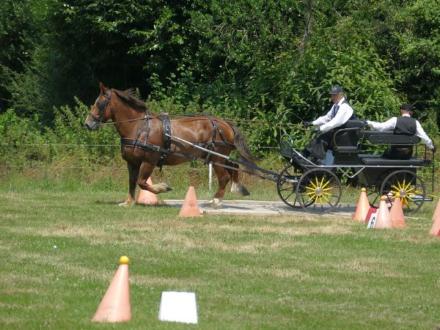 (091) Concours Attelage La F.Fouesnant 7-8 mai 2018