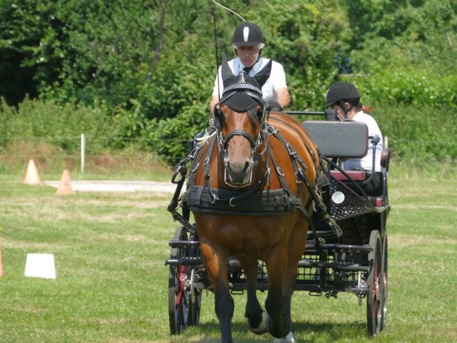 (091) Concours Attelage La F.Fouesnant 7-8 mai 2018
