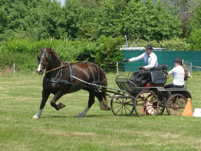 (091) Concours Attelage La F.Fouesnant 7-8 mai 2018