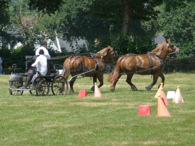 (091) Concours Attelage La F.Fouesnant 7-8 mai 2018