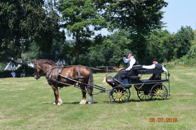 (091) Concours Attelage La F.Fouesnant 7-8 mai 2018