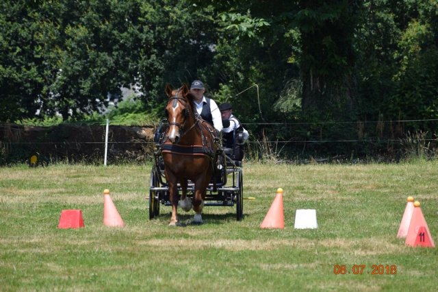 (091) Concours Attelage La F.Fouesnant 7-8 mai 2018