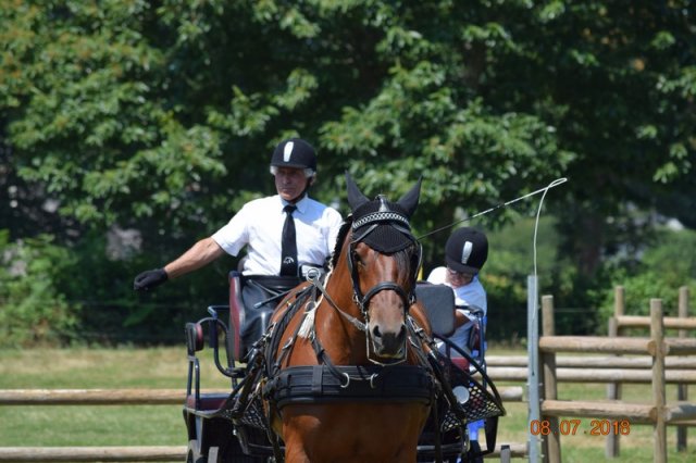 (091) Concours Attelage La F.Fouesnant 7-8 mai 2018