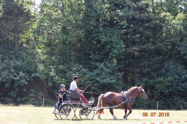 (091) Concours Attelage La F.Fouesnant 7-8 mai 2018