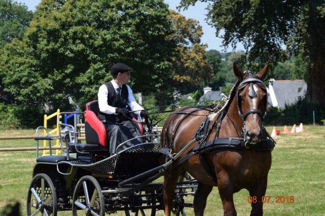 (091) Concours Attelage La F.Fouesnant 7-8 mai 2018