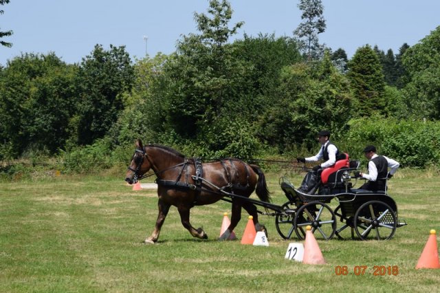 (091) Concours Attelage La F.Fouesnant 7-8 mai 2018