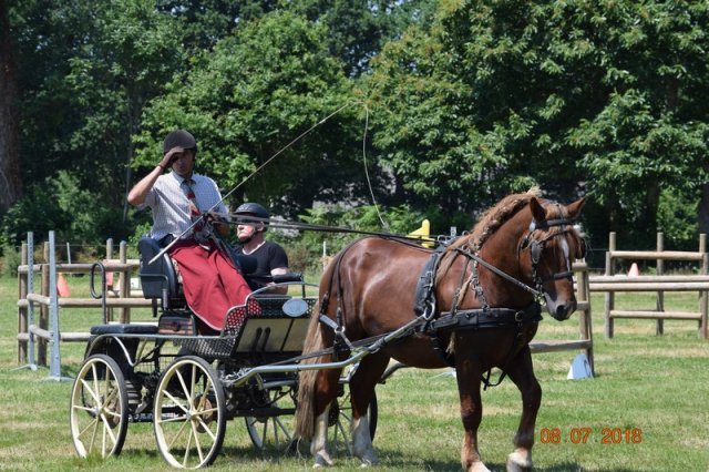 (091) Concours Attelage La F.Fouesnant 7-8 mai 2018