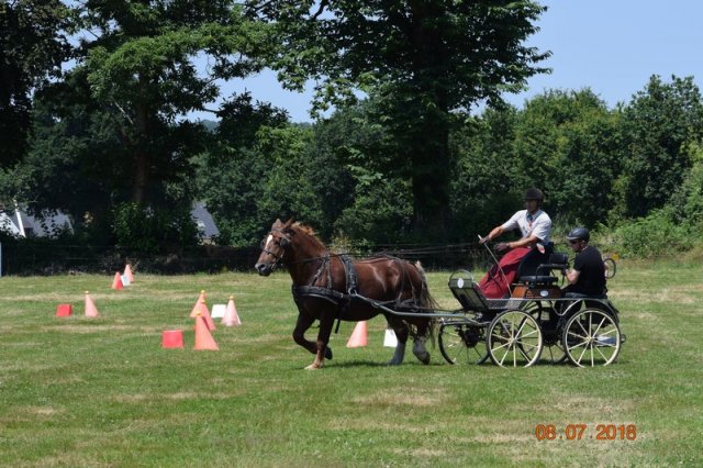 (091) Concours Attelage La F.Fouesnant 7-8 mai 2018