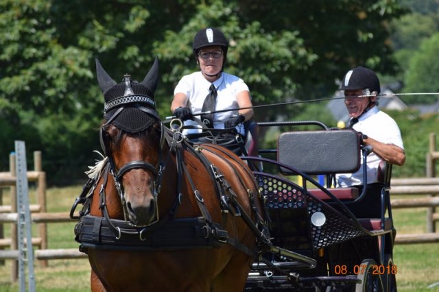 (091) Concours Attelage La F.Fouesnant 7-8 mai 2018