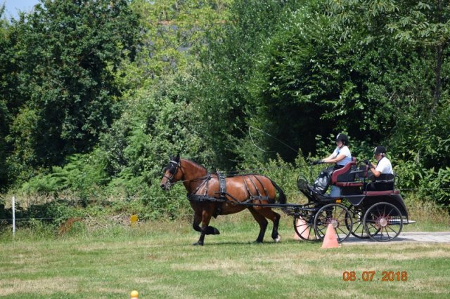 (091) Concours Attelage La F.Fouesnant 7-8 mai 2018