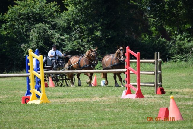 (091) Concours Attelage La F.Fouesnant 7-8 mai 2018