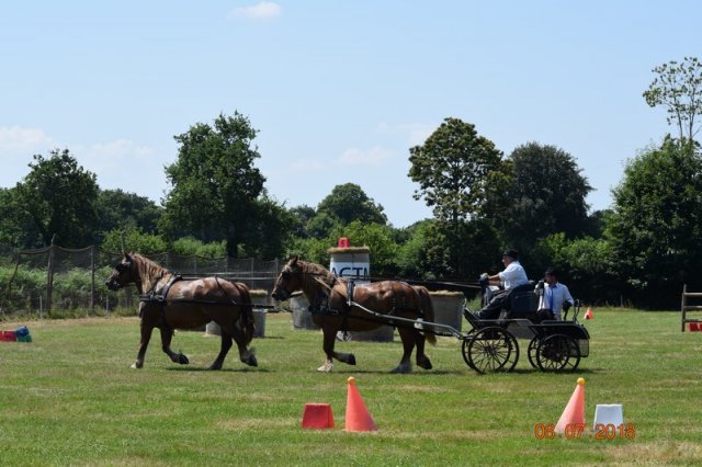 (091) Concours Attelage La F.Fouesnant 7-8 mai 2018