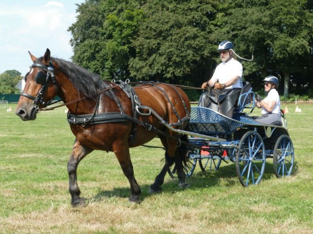 (091) Concours Attelage La F.Fouesnant 7-8 mai 2018