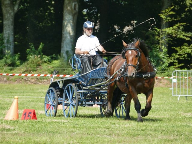 (091) Concours Attelage La F.Fouesnant 7-8 mai 2018