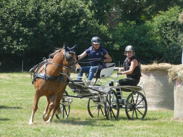 (091) Concours Attelage La F.Fouesnant 7-8 mai 2018