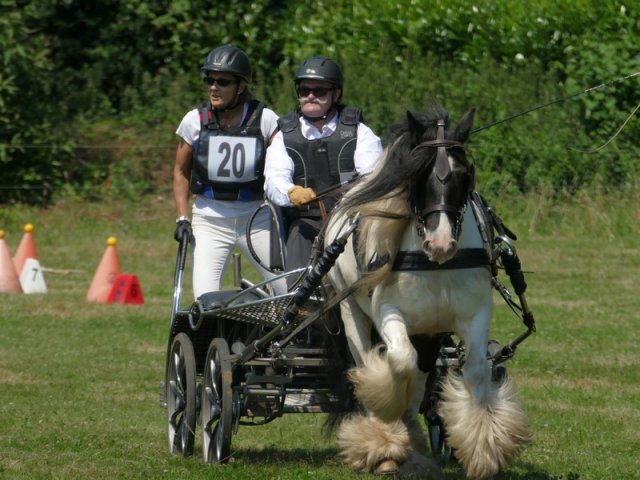 (091) Concours Attelage La F.Fouesnant 7-8 mai 2018