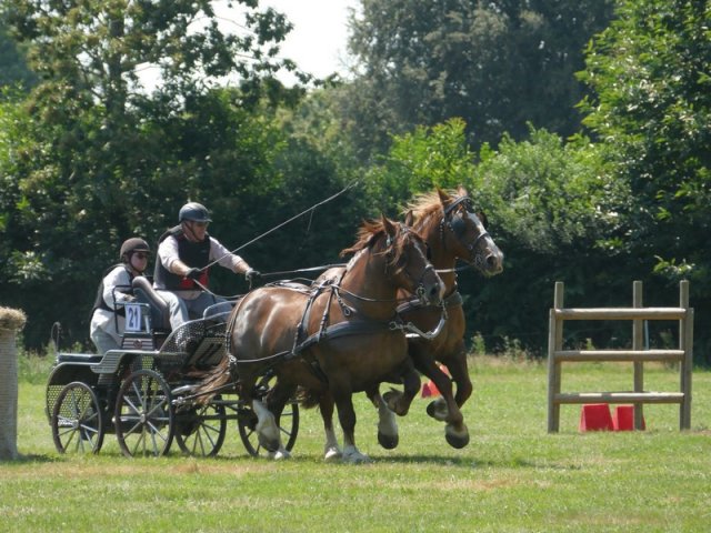 (091) Concours Attelage La F.Fouesnant 7-8 mai 2018