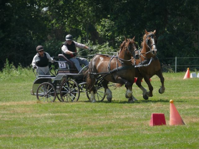 (091) Concours Attelage La F.Fouesnant 7-8 mai 2018