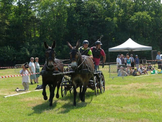 (091) Concours Attelage La F.Fouesnant 7-8 mai 2018