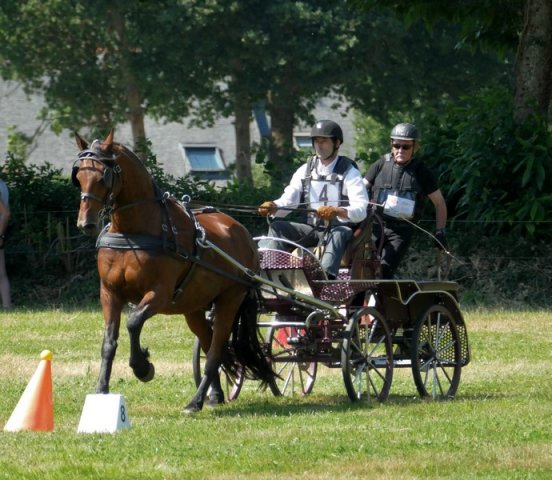 (091) Concours Attelage La F.Fouesnant 7-8 mai 2018