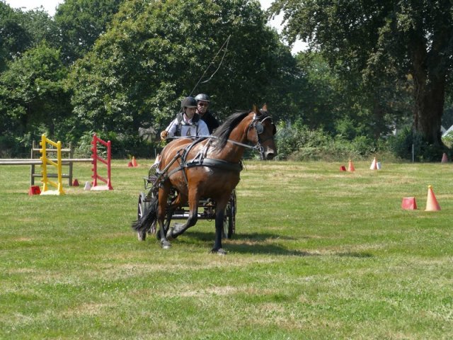 (091) Concours Attelage La F.Fouesnant 7-8 mai 2018