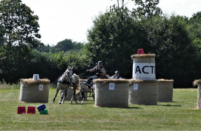 (091) Concours Attelage La F.Fouesnant 7-8 mai 2018