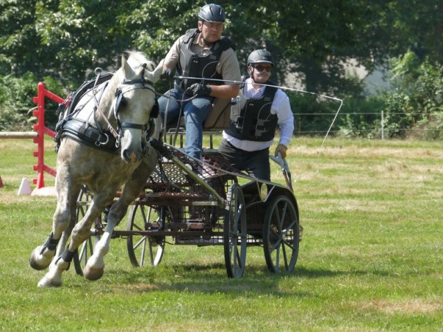 (091) Concours Attelage La F.Fouesnant 7-8 mai 2018