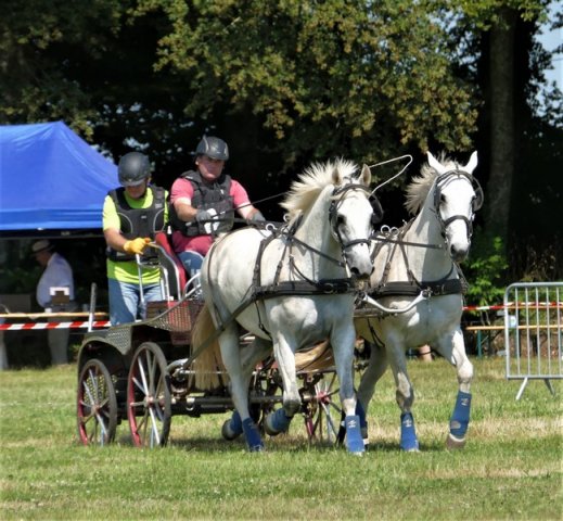 (091) Concours Attelage La F.Fouesnant 7-8 mai 2018