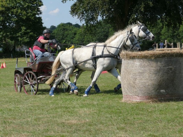 (091) Concours Attelage La F.Fouesnant 7-8 mai 2018