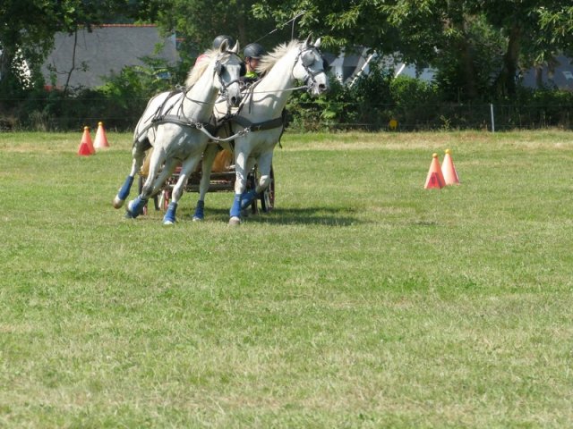 (091) Concours Attelage La F.Fouesnant 7-8 mai 2018