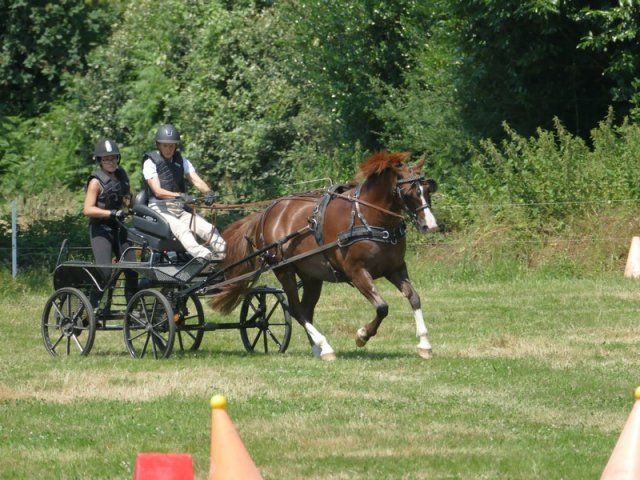 (091) Concours Attelage La F.Fouesnant 7-8 mai 2018