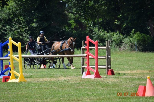 (091) Concours Attelage La F.Fouesnant 7-8 mai 2018