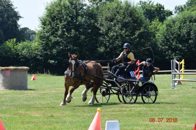 (091) Concours Attelage La F.Fouesnant 7-8 mai 2018