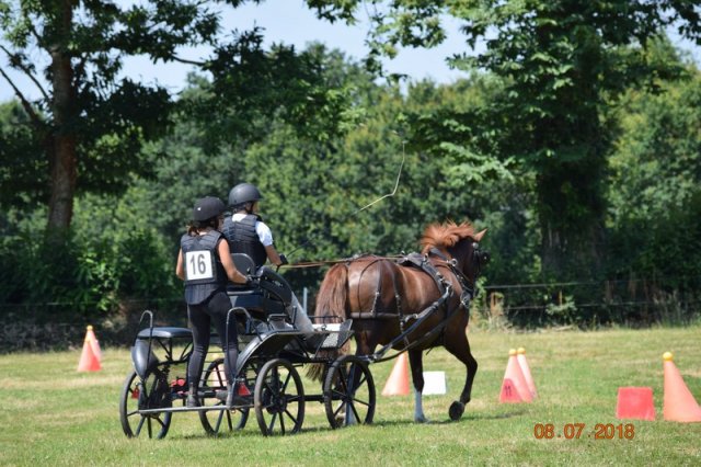 (091) Concours Attelage La F.Fouesnant 7-8 mai 2018