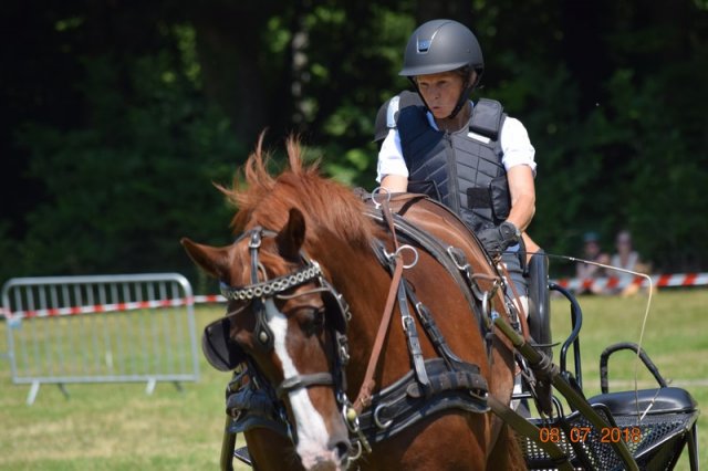 (091) Concours Attelage La F.Fouesnant 7-8 mai 2018