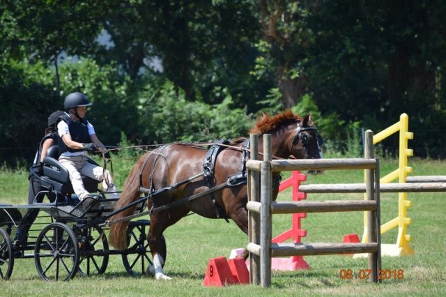 (091) Concours Attelage La F.Fouesnant 7-8 mai 2018