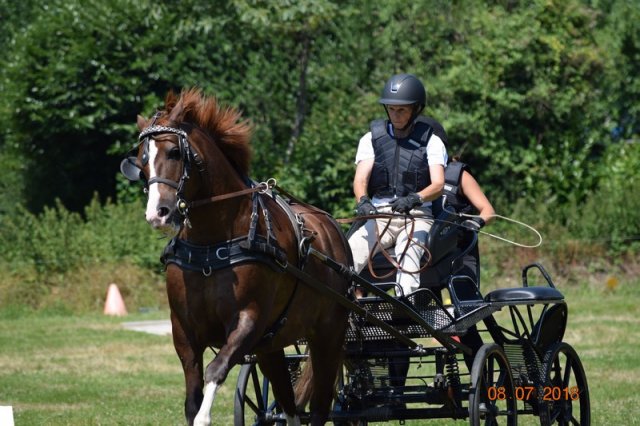 (091) Concours Attelage La F.Fouesnant 7-8 mai 2018