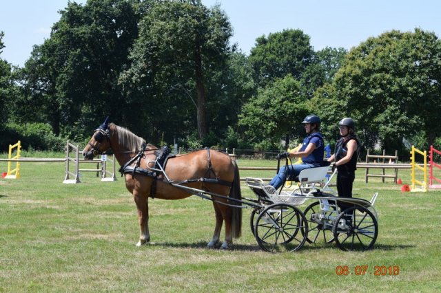 (091) Concours Attelage La F.Fouesnant 7-8 mai 2018