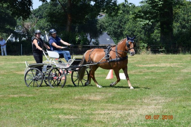 (091) Concours Attelage La F.Fouesnant 7-8 mai 2018